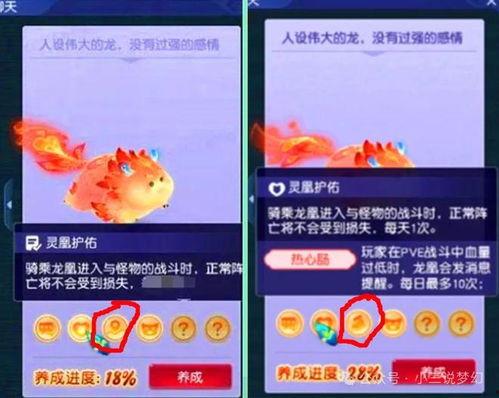 祥瑞最新爆料,揭秘娱乐圈惊天秘密